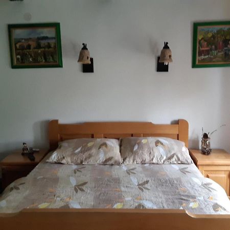 Ilkicev Kucerak Apartman 维尔蒂尼克 外观 照片