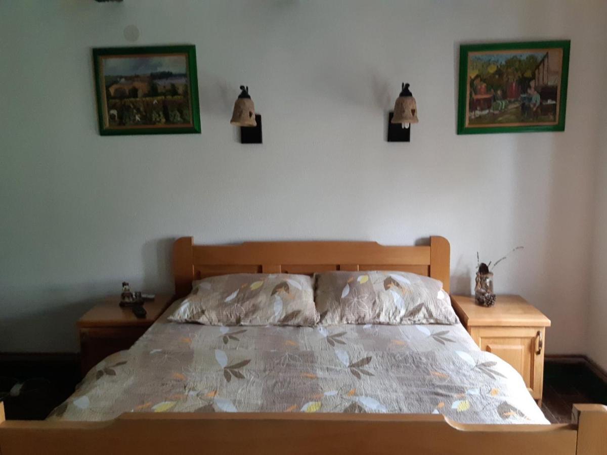 Ilkicev Kucerak Apartman 维尔蒂尼克 外观 照片
